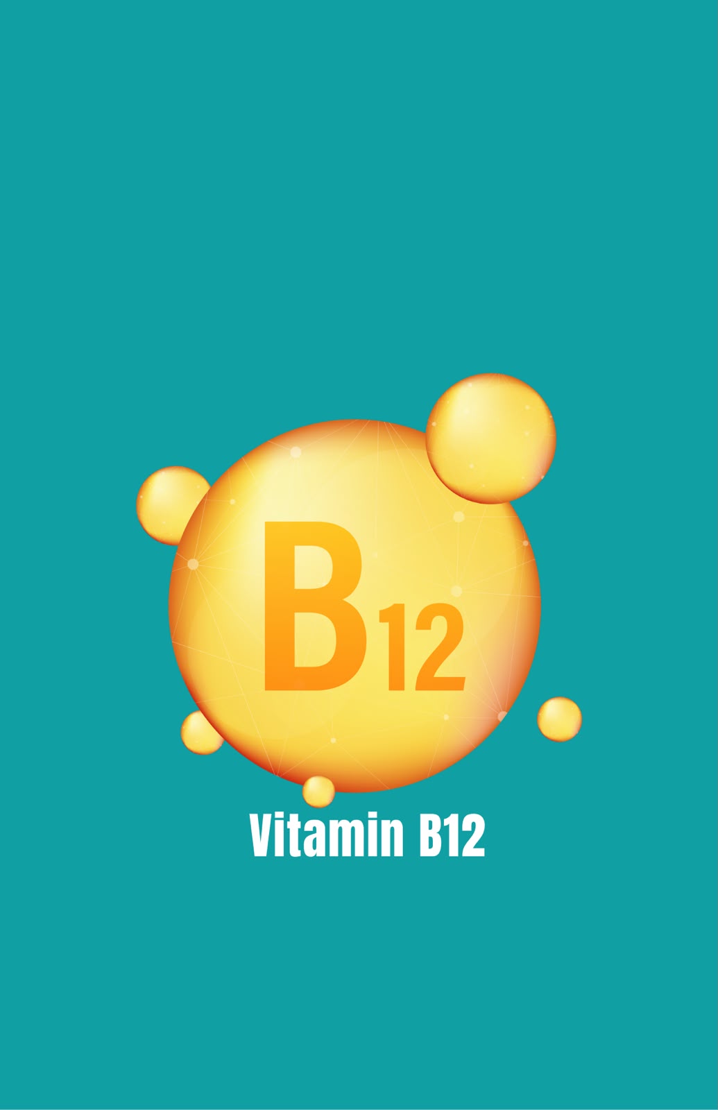 Vitamin B12 Test [Free Home Collection]
