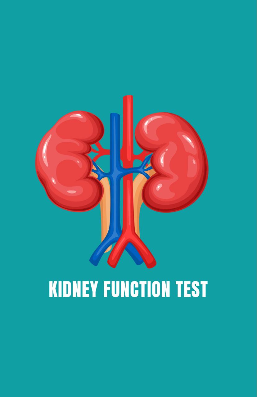 Kidney Function Test (12 Parameters) [Free Home Collection]